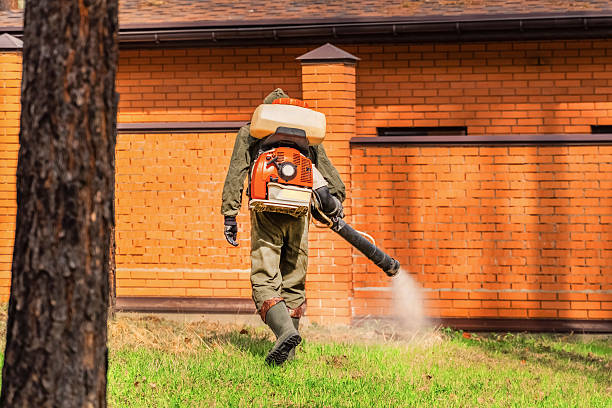 Trusted Bed Bug Control service in Port Ewen, NY - Nex Pest Control